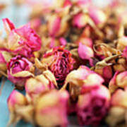 Dried Roses #7 Poster