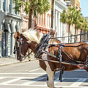 Historic Charleston South Carolina Downtown Scenery #9 Poster