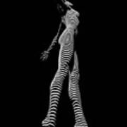9825-dja Black And White Zebra Striped Woman Unique Perspective Fine Art Photograph By Chris Maher Poster