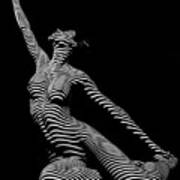 9970-dja Zebra Striped Yoga Reaching Sensual Lines Black White Photograph Abstract By Chris Mahert Poster