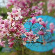 A Blue Umbrella Poster