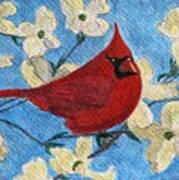 A Cardinal Spring Poster