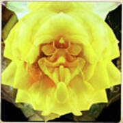 A Face In The Flower Poster