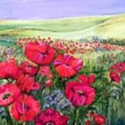 A Field Of Poppies Poster