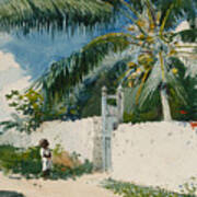 A Garden In Nassau Poster