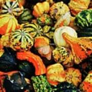 A Gourd Collection For The Fall Poster