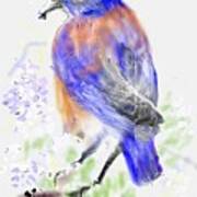 A Little Bird In Blue Poster