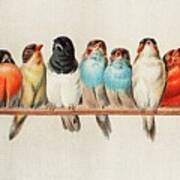 A Perch Of Birds, 1880 Poster