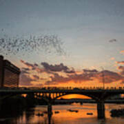 A Spectacular Sunset Finds 1.5 Million Bats Soaring Into The Sky At Sunset Poster
