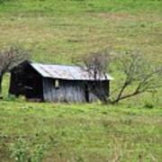 Abandoned Barn  Close Up Poster