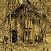 Abandoned Barn In Woods Poster