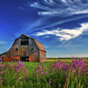 Abandoned Blackmore Barn #1 - Spring Poster