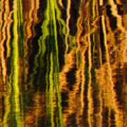 Abstract Reeds Triptych Middle Poster