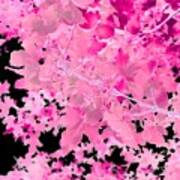 Pretty Pink Leaves Poster
