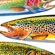 Abstract Trout Poster