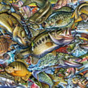 Action Fish Collage Poster