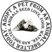 Adopt A Pet T-shirt Design Poster