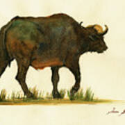 African Buffalo Watercolor Painting Poster