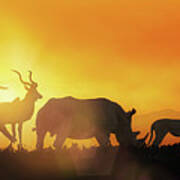 African Wildlife Sunset Silhouette Banner Poster