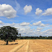 After The Harvest Uk Poster