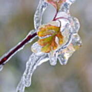 After The Ice Storm Poster