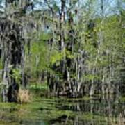 Alabama Swamp Poster