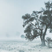 Alleena Winter Landscape Poster