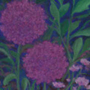 Allium And Geranium Poster