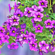Aloha Purple Sky Calibrachoa Abstract I Poster