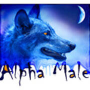 Alpha Male Poster