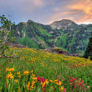 Alta Wildflowers And Sunset Poster