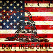 American Flag And Viper On Rusted Metal Door - Don't Tread On Me Poster