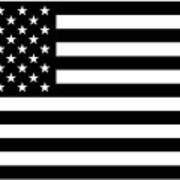 American Flag - Black And White Version Poster