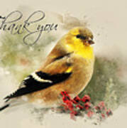American Goldfinch Thank You Card Poster