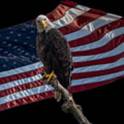America's Eagle Poster