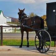 Amish Horse Buggy And Farm Poster