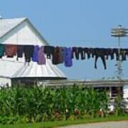 Amish Laundry Poster