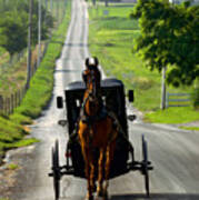 Amish Morning Commute Poster