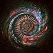 Ammonite Galaxy Poster