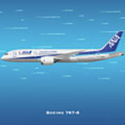 Ana Boeing 787-8 Dreamliner Poster