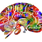 Anatomical Brain Poster