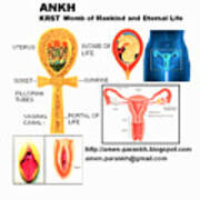 Ankh Womb Poster