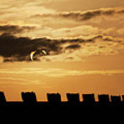 Annular Eclipse Over Cadillac Ranch Poster