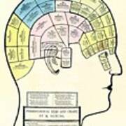 Antique 1857 Phrenological Head And Chart Poster