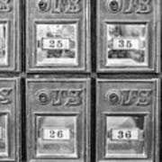 Antique Mailbox Black And White Poster