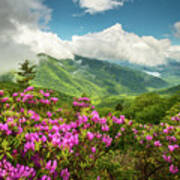 Appalachian Mountains Spring Flowers Scenic Landscape Asheville North Carolina Blue Ridge Parkway Poster