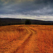 Appalachian Trail Heading North In Pa Section 7 Poster