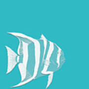 Aqua Fish Poster