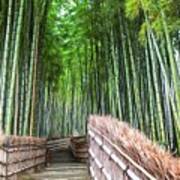 Arashiyama's Bamboo Groves Poster