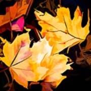 Artful Maple Leaves Poster